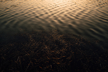 beautiful spring sunset on the lake, amazing nature, warm evening on the river bank