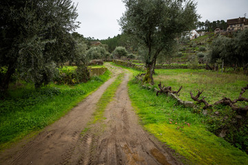 Fototapeta na wymiar a rural path in Barroca Schist Village, Fundao, Portugal
