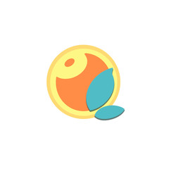 Colorful abstract orange with leaves for decorative design on white background.Botanical illustration.