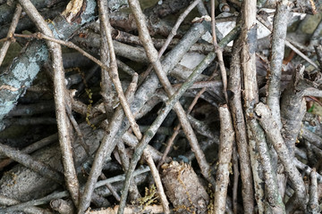 Closeup of pile of dry tree branches, twigs, and organic debris