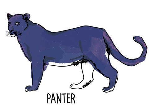 Panther. Drawing by hand with watercolor texture. Children's drawing.