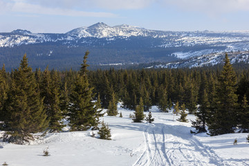  Luge path from the top of the mountain