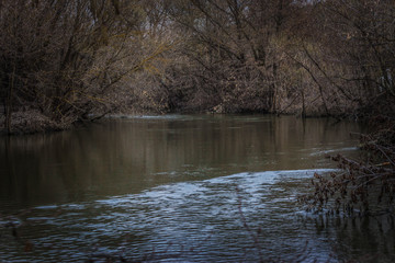 background, forest, river, beautiful, nature, scenery, through, natural, water, weather, spring, landscape, green, flow, stream, creek, sunny, running, summer, fresh, travel, mountain, tree, outdoor, 