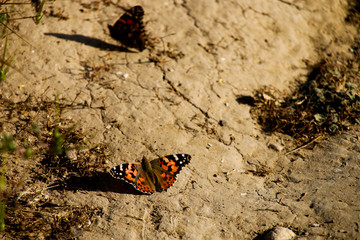 Arroyo Verde Park in Ventura California