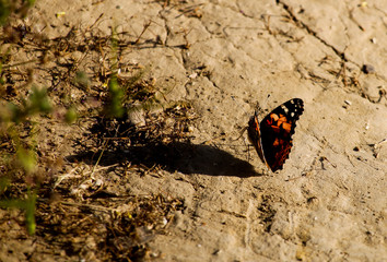 Arroyo Verde Park in Ventura California