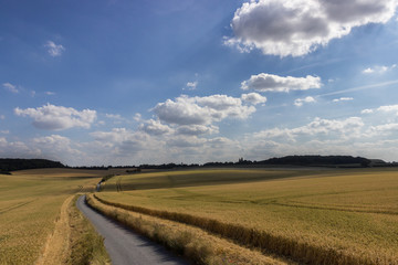 Beautiful British countryside - winding roads and rolling wheat fields