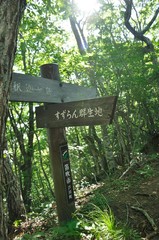笛吹市 釈迦ヶ岳の登山道