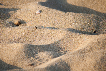 Strand in Nahaufnahme