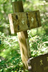 笛吹市すずらん峠