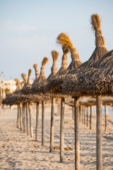 Sonnenschirme am Strand von Mallorca