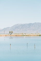 Lake Tamarisk, in Desert Center, California