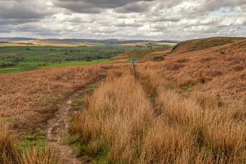 A Dales High Way is a long-distance footpath in northern England. It is 90 miles long and runs from Saltaire in West Yorkshire to Appleby. This section is between Skipton & Malham