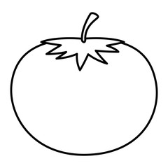 fresh tomato vegetable icon