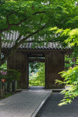 自然と建築物の融合