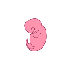 fetus 3 month doodle icon