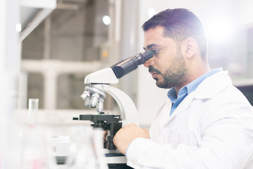 Naklejka na ściany i meble Serious focused handsome young Arabian biologist sitting at desk and using microscope while analyzing sample of modified gene
