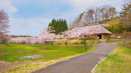 Fototapeta premium Michinoku Folklore Village in Kitakami, Japan
