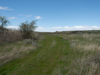 desert landscape