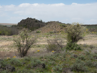 dessert formations