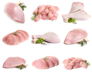 Set of raw turkey on white background