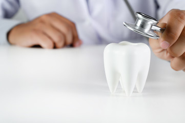 dental  concept Dental model and dental equipment dental hygiene Dentist tools