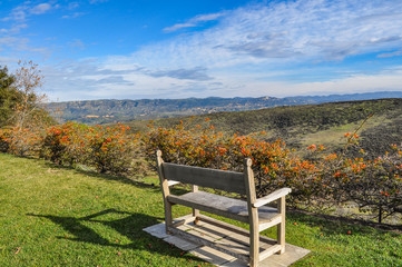 Wooden bench overlooking valley