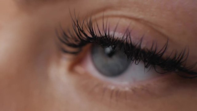 Female macro woman eye with long eyelashes close up, hollywood length beauty salon