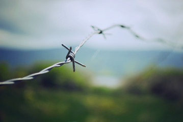 barbed wire on a background of blue sky