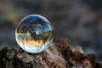 Clear Quartz Sphere on bark, rhytidome,  reflecting lake, forest and sky.