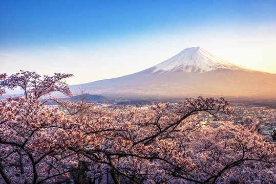 Fujiyoshida, Japan Beautiful viewed from behind red Chureito Pagoda at sunset, japan in the spring with cherry blossoms