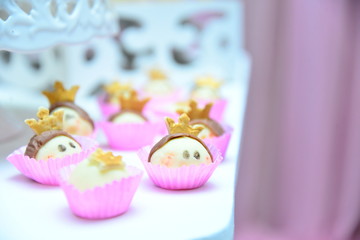 gourmet princess party sweets and luxury favor box, elegant rosa and gypsophila wedding table decor, pink birthday candy closeup,brazilian sweet , party candy, candy balls,sweets table, themed sweets