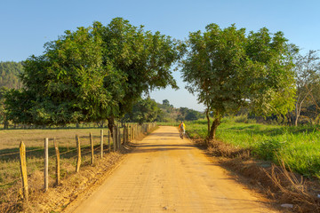 Homem de bicicleta em estrada rural brasileira
