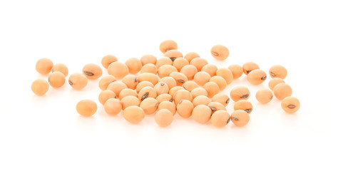 Soybean on white background.