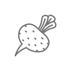 Beet, beetroot, vegetable line icon.