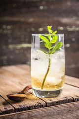 Sweet rum based cocktail with mint. Selective focus. Shallow depth of field.