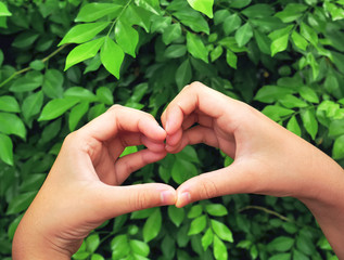 Close-up Hands Gesturing Heart Symbol Against Fresh Green Leaves Background