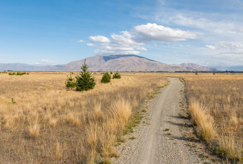 gravel track across the grassy plains in Canterbury region, South Island, New Zealand