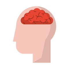 human head with brain