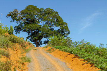 Estrada rural brasileira