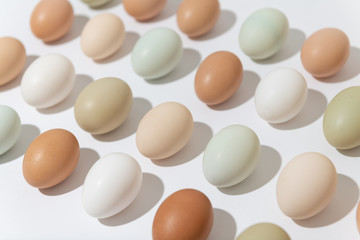 Multicolored Fresh Organic Chicken Eggs in Basket