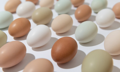 Multicolored Fresh Organic Chicken Eggs in Basket