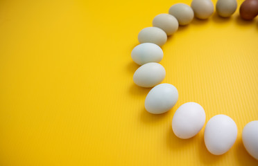Multicolored Fresh Organic Chicken Eggs Arranged on Yellow Background