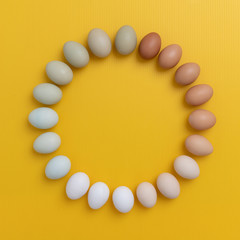 Multicolored Fresh Organic Chicken Eggs Arranged on Yellow Background