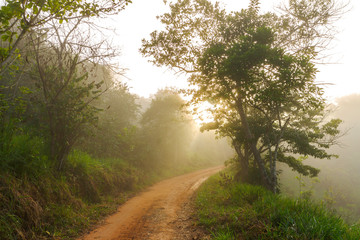 Fototapeta na wymiar Estrada rural brasileira