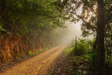 Estrada rural brasileira