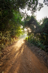 Estrada rural brasileira