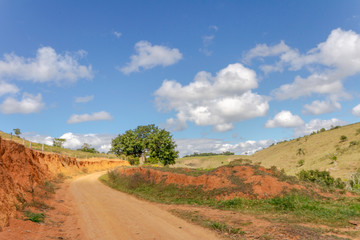 Estrada rural brasileira