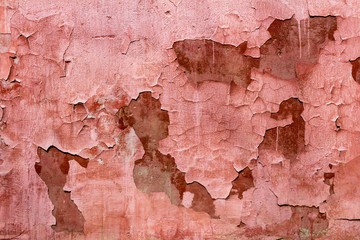 Fototapeta premium Background texture of the old cracked wall with peeling coral paint
