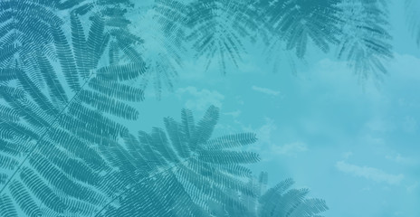 palm branch background