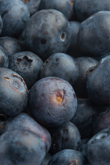 blueberry, texture closeup, background, berries